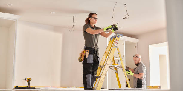 Best Electrician for Home Renovation  in The Hills, NJ